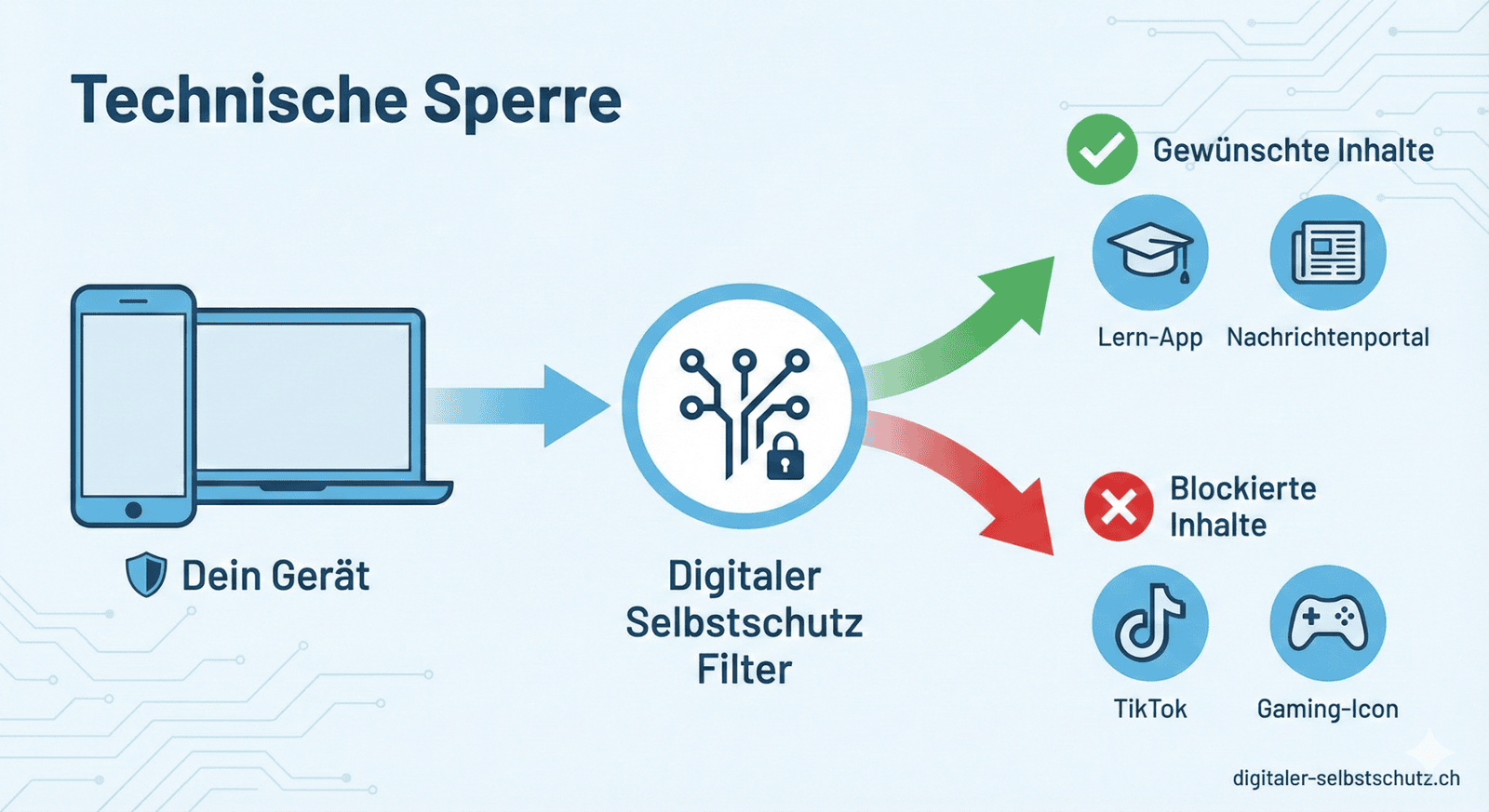 Die DS Lösung als Grafik erklärt